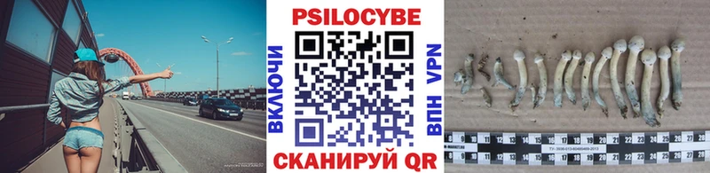 Псилоцибиновые грибы мицелий  Льгов 